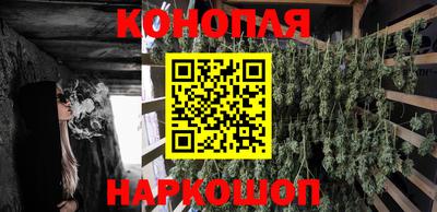 дживик Ставрополь