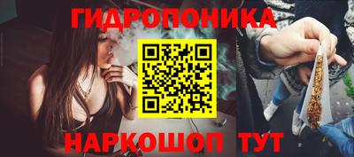 дживик Ставрополь