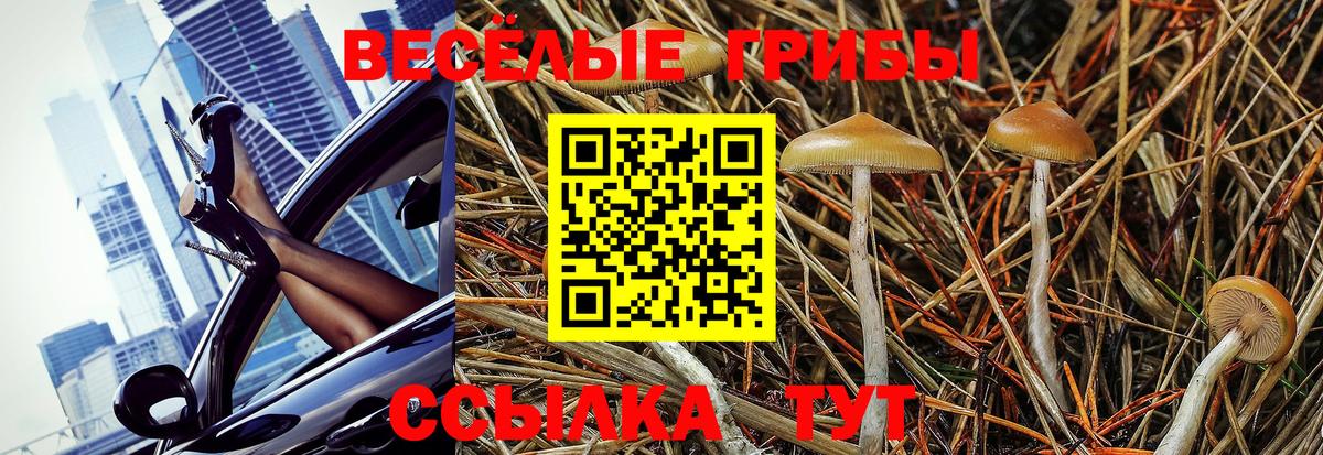 Нововоронеж  Галлюциногенные грибы Psilocybe  Вход с VPN  Галлюциногенные грибы Cubensis 