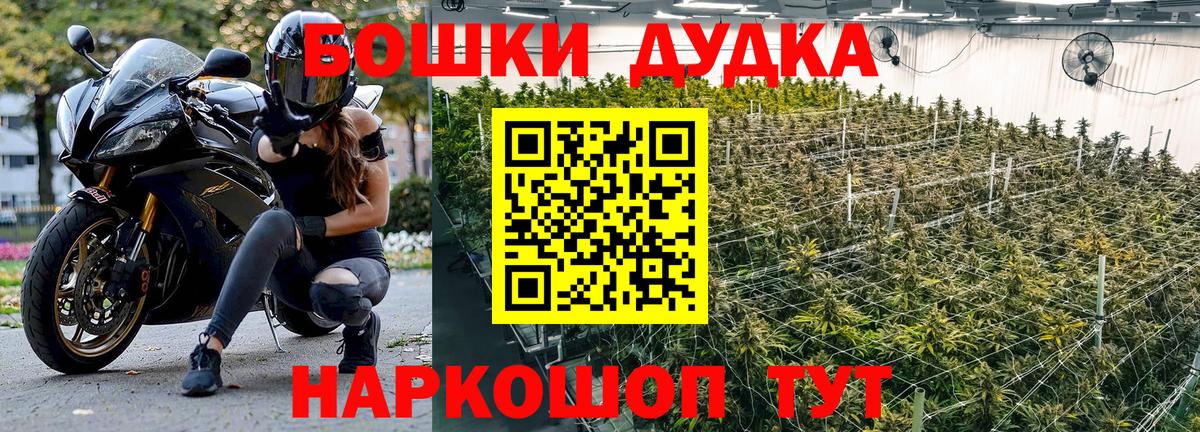 Бошки Шишки индика Нововоронеж